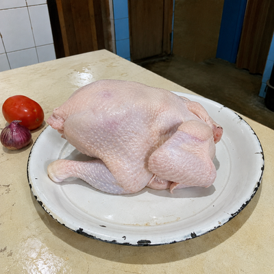 Poulet chair