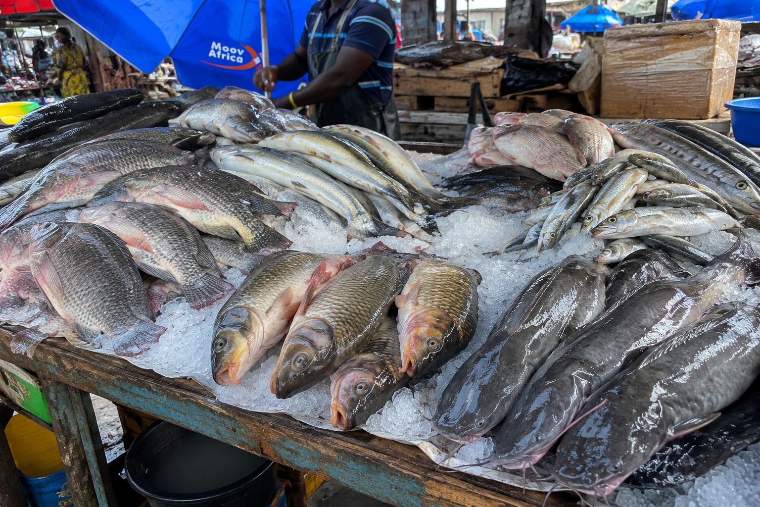 Poissons